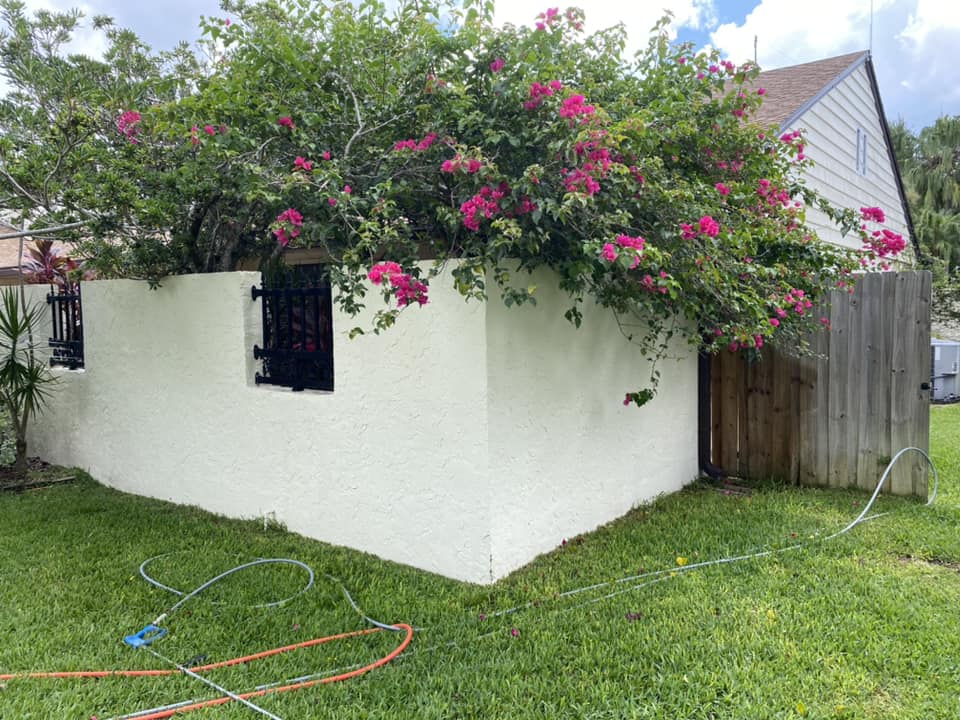 Stucco wall in Avalon Park after pressure washing, with a clean and bright appearance